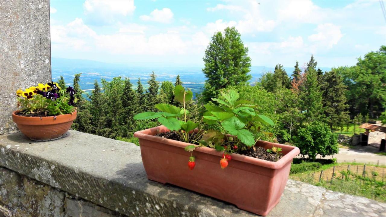 Apartament A Due Passi Dal Chianti Cavriglia Zewnętrze zdjęcie